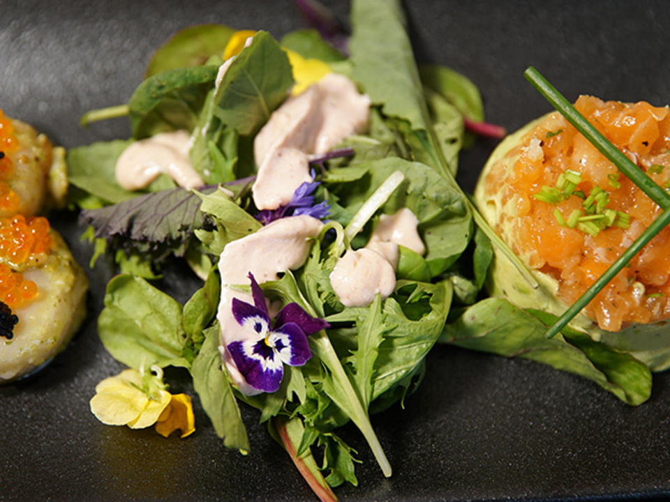 Lachs mit Avocado und Jakobsmuschel