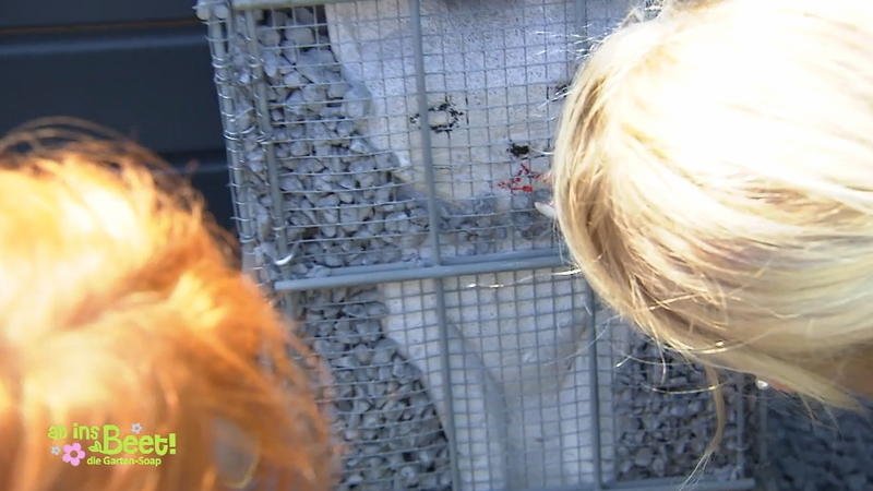 Brigitte und Nadine verschönern ihr Tageswerk