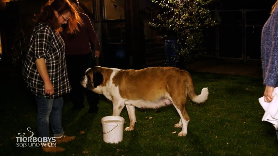 Kann ihr ein kleiner Spaziergang helfen?