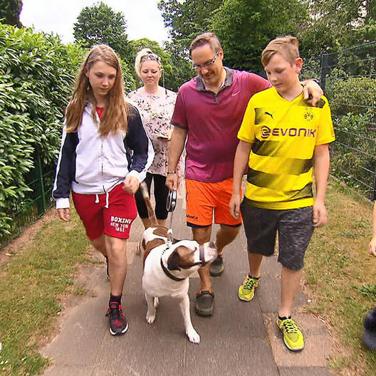 Familienhund Sam muss in Deutschland bleiben