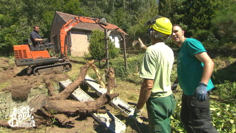 Der Garten soll terrassiert werden: Viel zu wühlen!