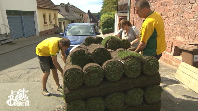 Palettenweise Gras für den Kaiserslauterner Garten