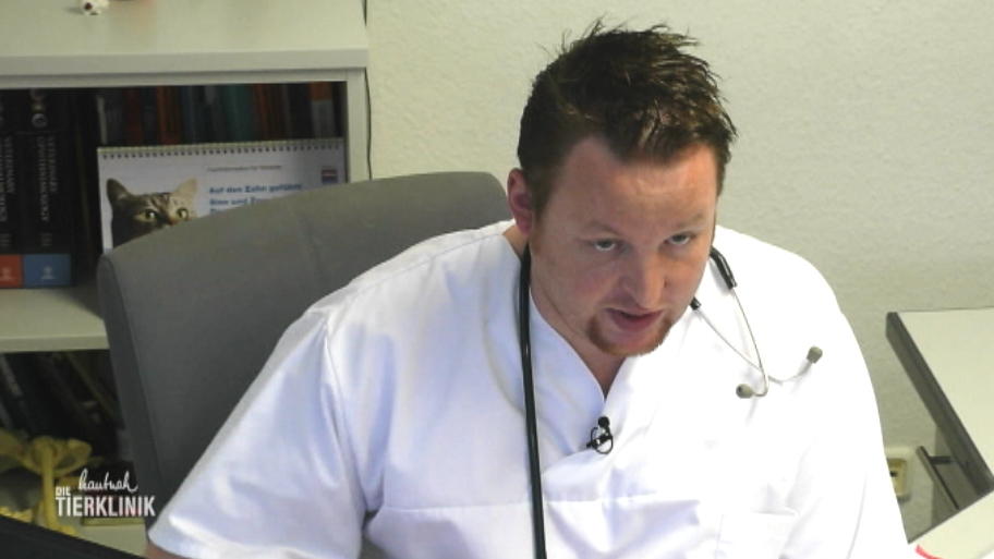 Dr. Vöcks kämpft um Charlottes Leben
