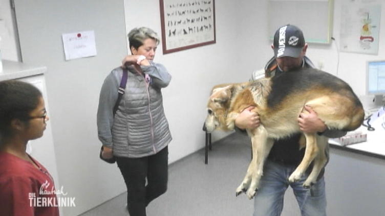 Tierärztin Katharina Rempel handelt direkt