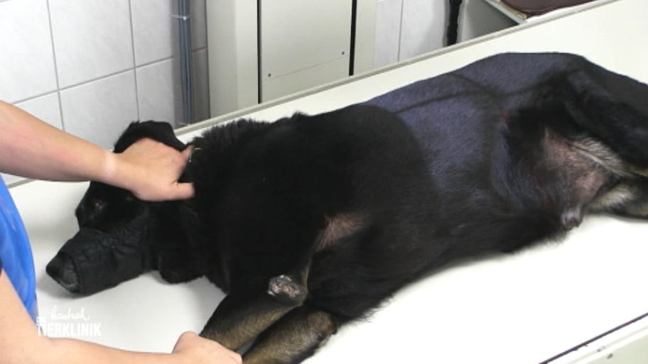 Dr. Maren Martin erkennt sofort, dass etwas nicht stimmt