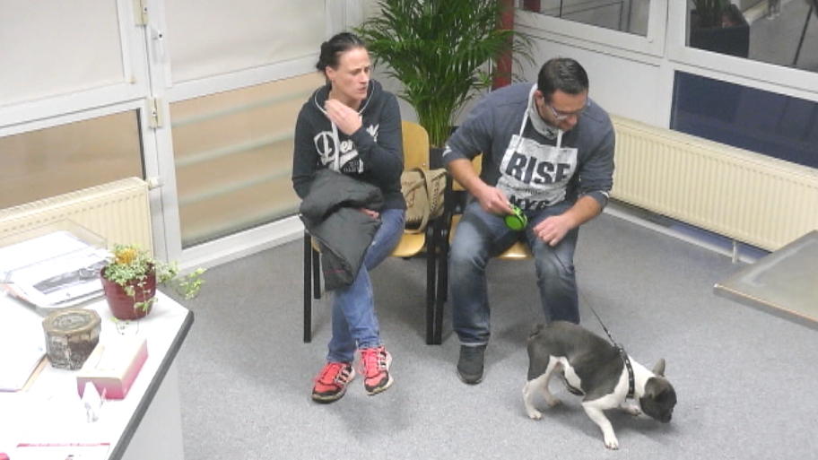 Bulltdogge Pepe ist zurück in der Klinik