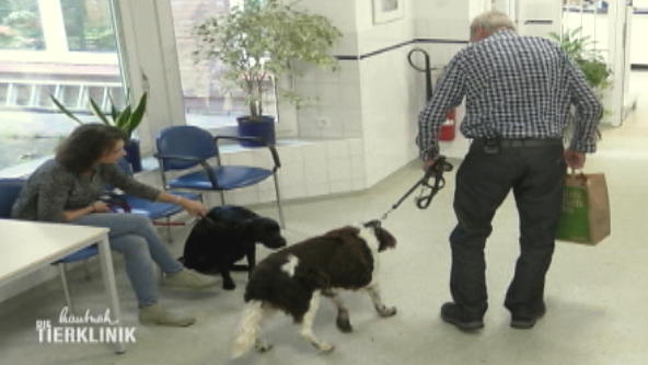 Die Tierärztin braucht keine Minute für eine Diagnose