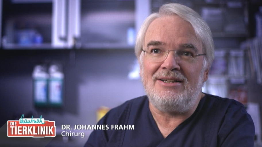 Dr. Frahm findet einen großen Abszess am Rücken des Kämpfers