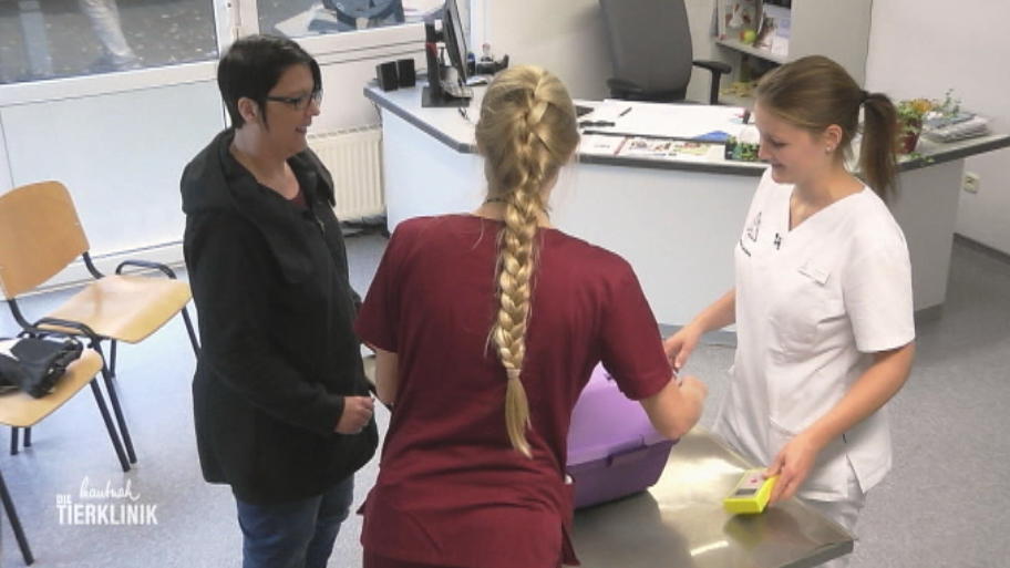 Jetzt muss der Chip gesucht werden 