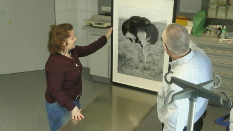 Die Tierklinik wird zur Fotoausstellung