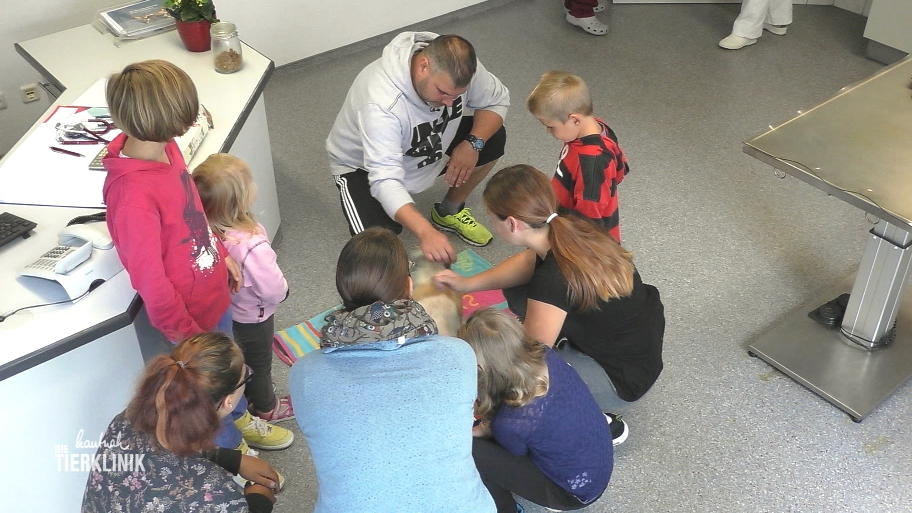 In der Tierklinik Lüneburg häufen sich die Befunde