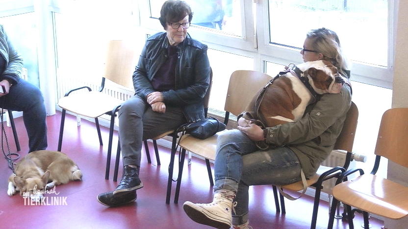 Im Wartezimmer fließen Krokodilstränen