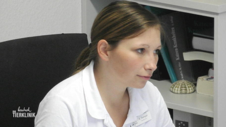 Soll Murmel operiert werden?