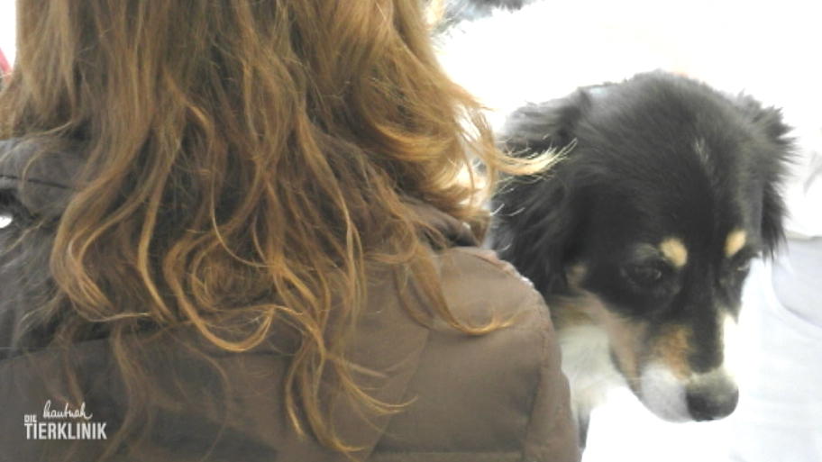 Hat die Therapie bei Sally angeschlagen?
