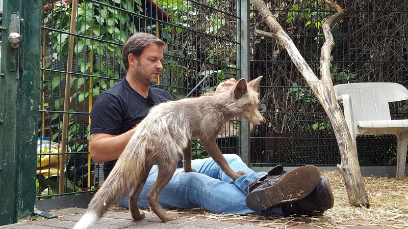 Martin Rütter sucht ein neues Zuhause für Hubertus
