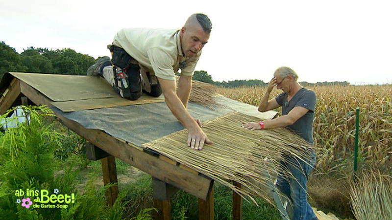 Schwiegersohn und Schwiergervater bauen einen Teich