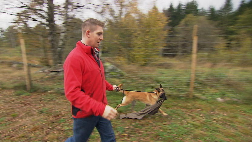Wird die "Dog Academy" der Finsers ein Erfolg?