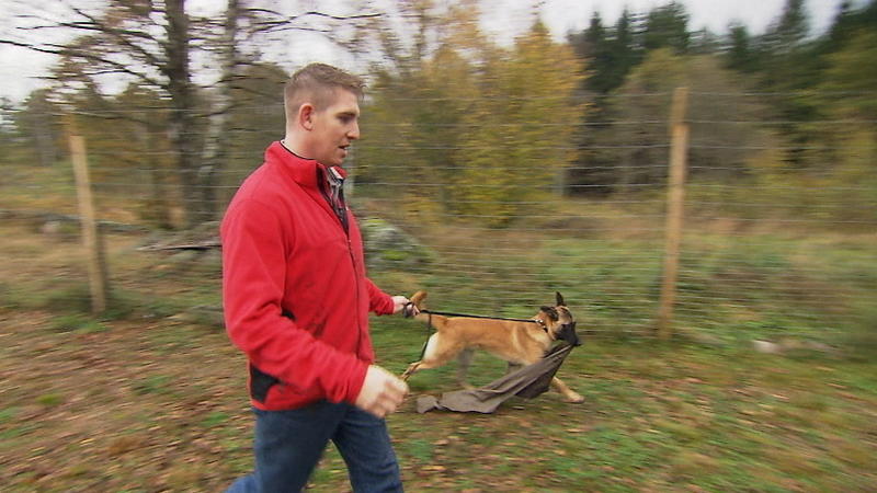 Wird die "Dog Academy" der Finsers ein Erfolg?
