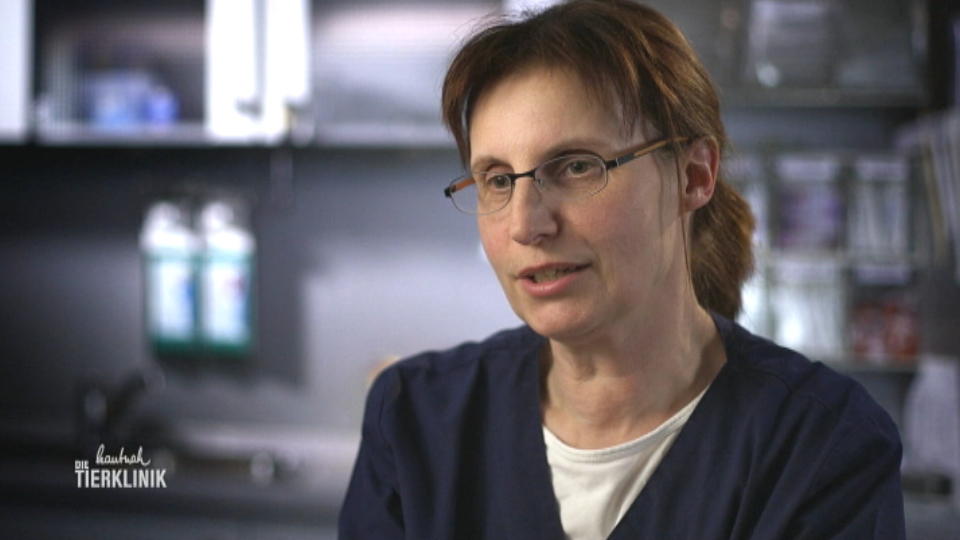 Martina Gremer-Haverkamp soll den Kleinen durchchecken 
