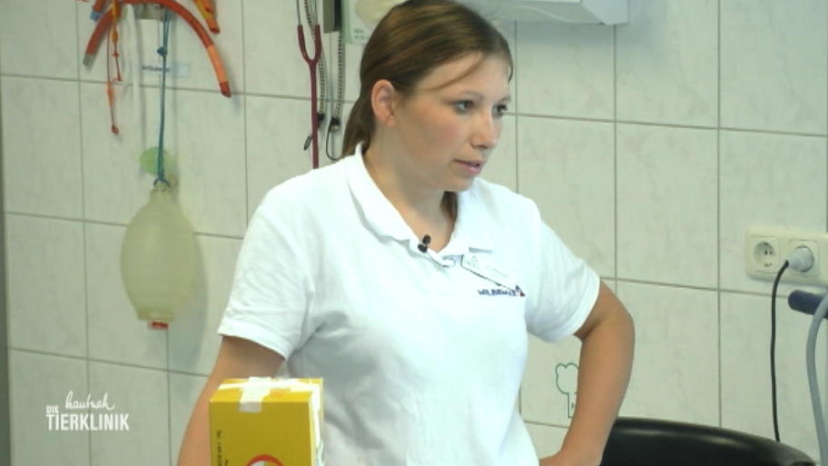 Katharina Rempel verordnet ein neues Antibiotikum