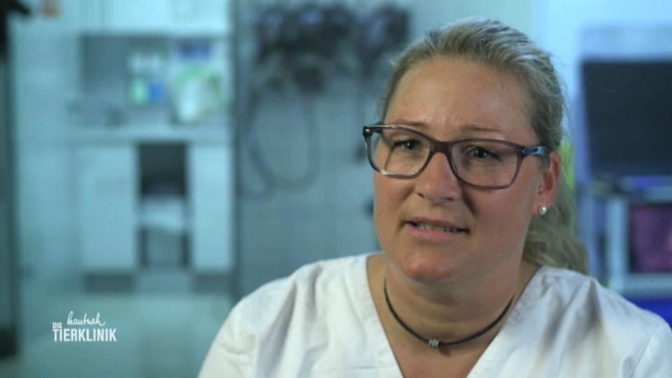 Uta Rönneburg diagnostiziert einen Thorax-Erguss
