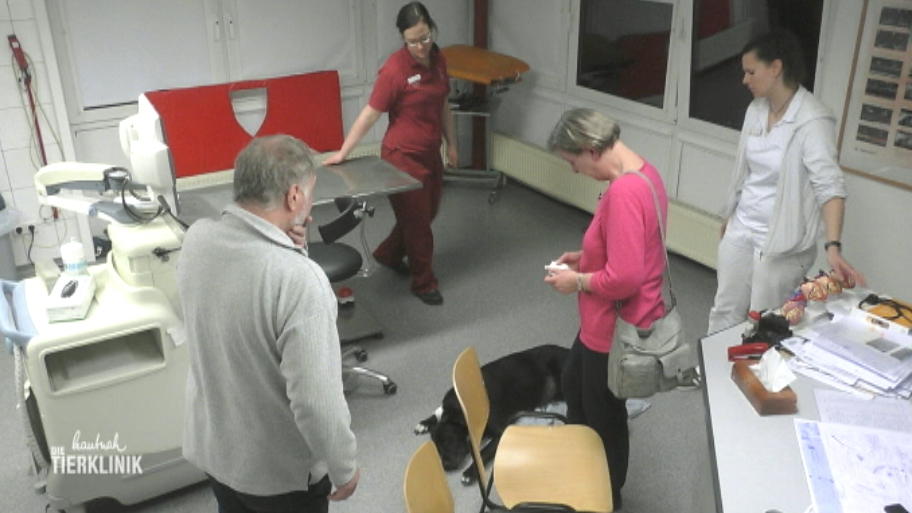 Lebertumor lässt sich nicht operativ entfernen