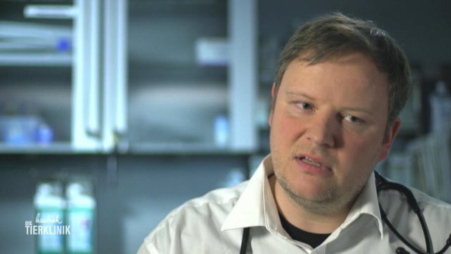 Therapieplan für Anton