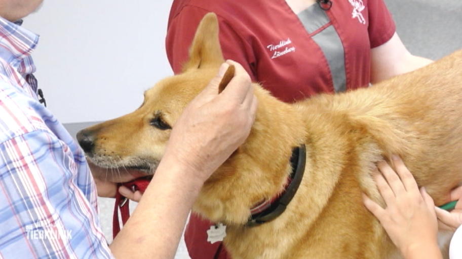 Ronja hat epileptische Anfälle