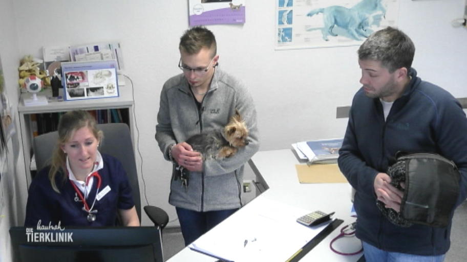 Tumor-Verdacht bei Vicky