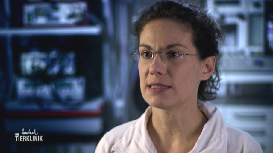 Schwere Erkrankung bei Hündin Amy?