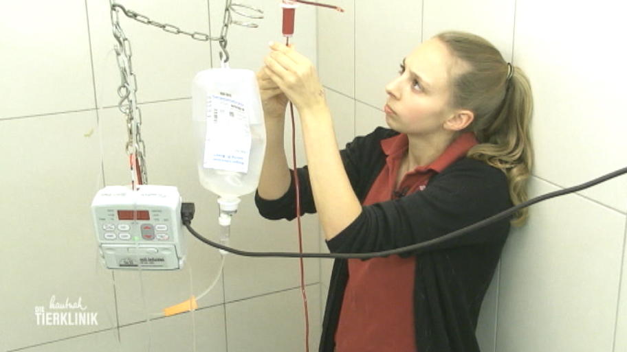 Bluttransfusion bei Lucas schlägt nicht an