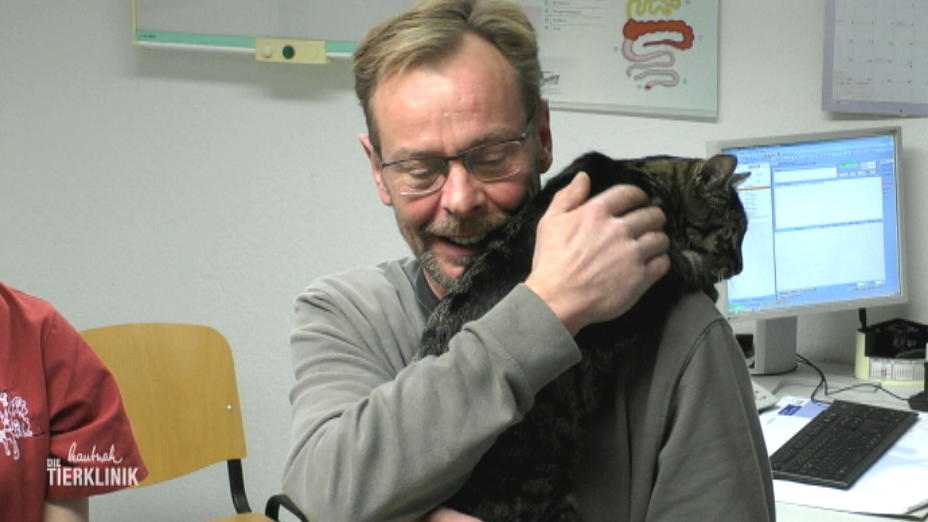 Nachbarskater Findus hat die gleichen Symptome