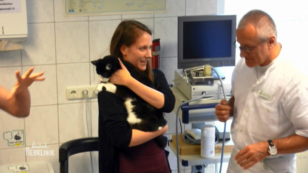 Frauchen in großer Sorge um Kater Merlin
