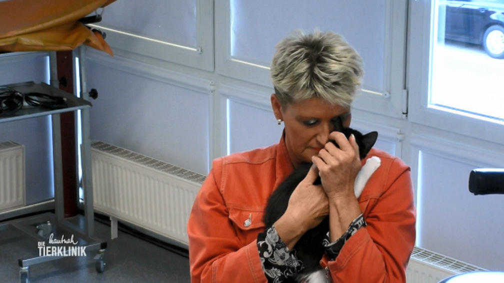 Katze Lisa hat vergrößertes Herz