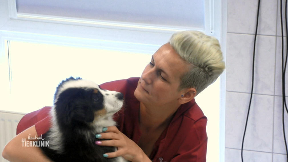 Tierärztin Sonja Grommel kommt mit Welpe Tilda vorbei