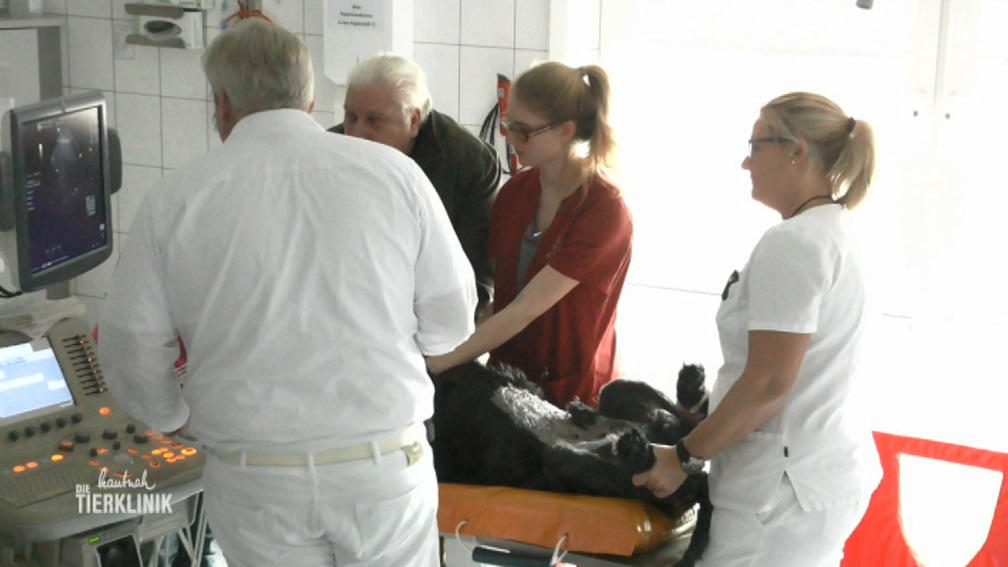Was steckt hinter Gilmores Symptomen?
