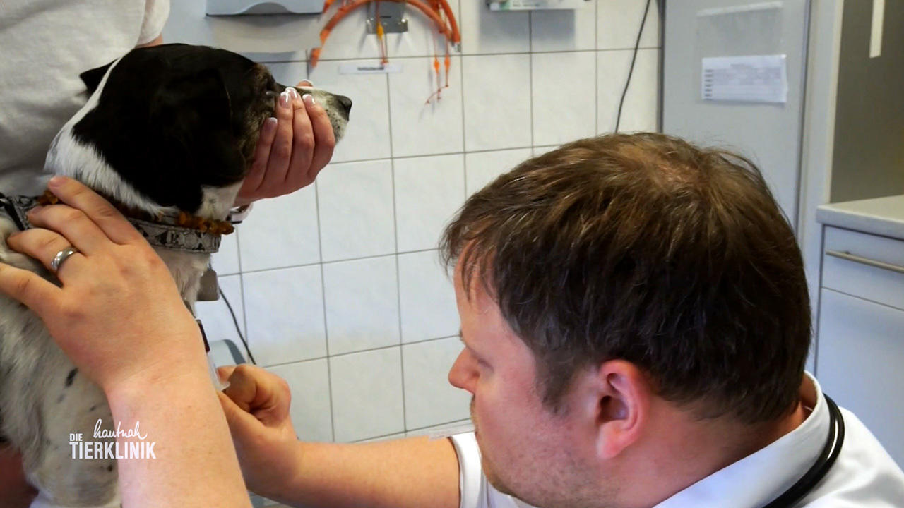 "Meine Patienten können nicht mit mir reden"