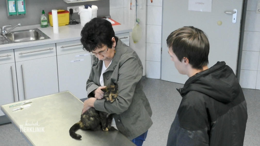Warum frisst Katze Lilly nicht?