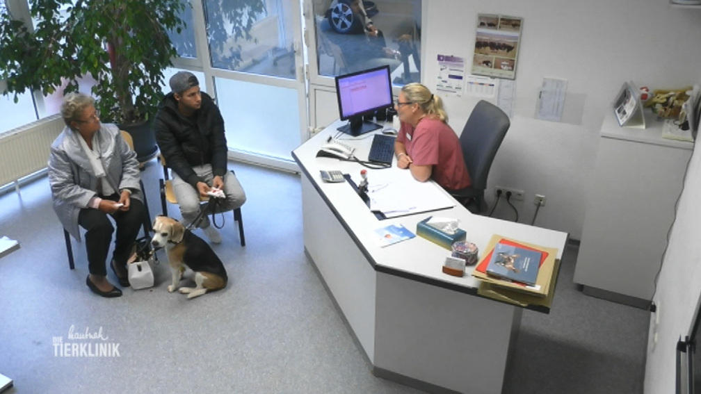 Schlimmer Verdacht bei Beagle Roger