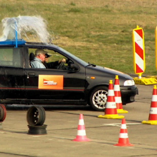 Würden Sie die Führerscheinprüfung noch bestehen?