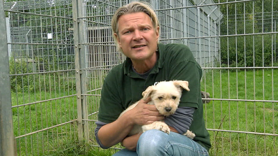 60 Pflegehunde! Rentnerin ist überfordert (3/3)