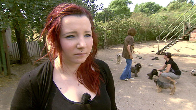 60 Pflegehunde! Rentnerin ist überfordert (1/3)