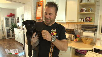 Mirko ist ein Organisationstalent