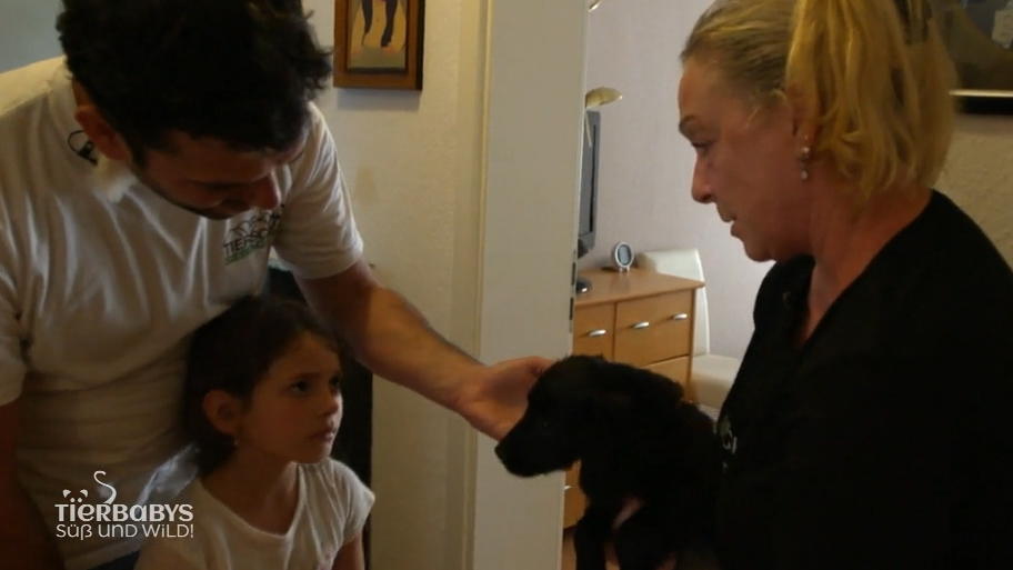 Neues Heim für Cocker Spaniel Hündin Emilia