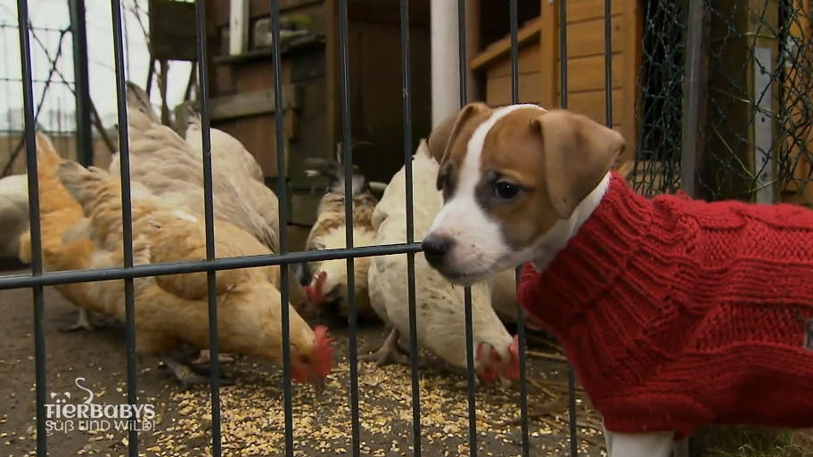 Auf Paula wartet die große Freiheit