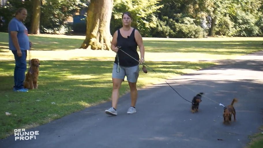 Rasten die Dackeldamen im Park immer noch aus?
