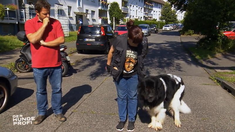 Hat Riesenrabauke Flint Fortschritte gemacht?