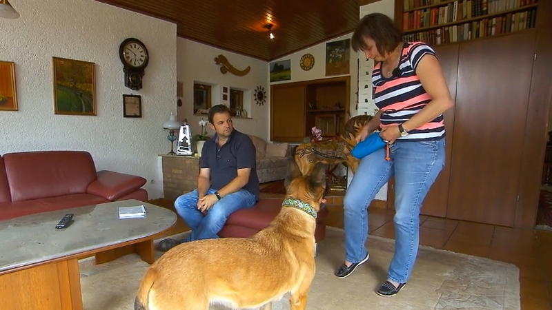 Alle Rasseeigenschaften hoch 10