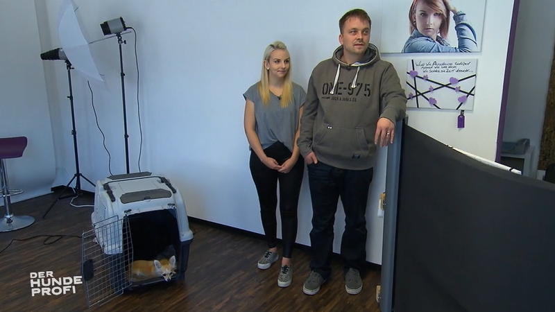 Kann der kleine Kläffer hier zur Ruhe kommen?