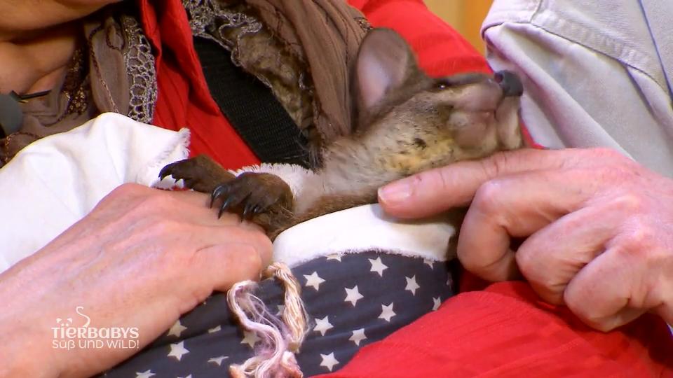 Der Kleine lag nackt mitten auf der Wiese